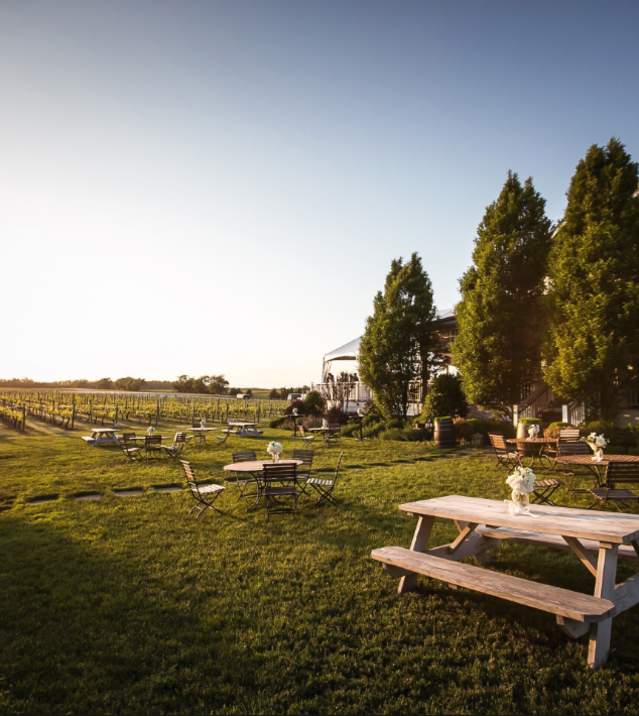 picnic-tables-at-winery