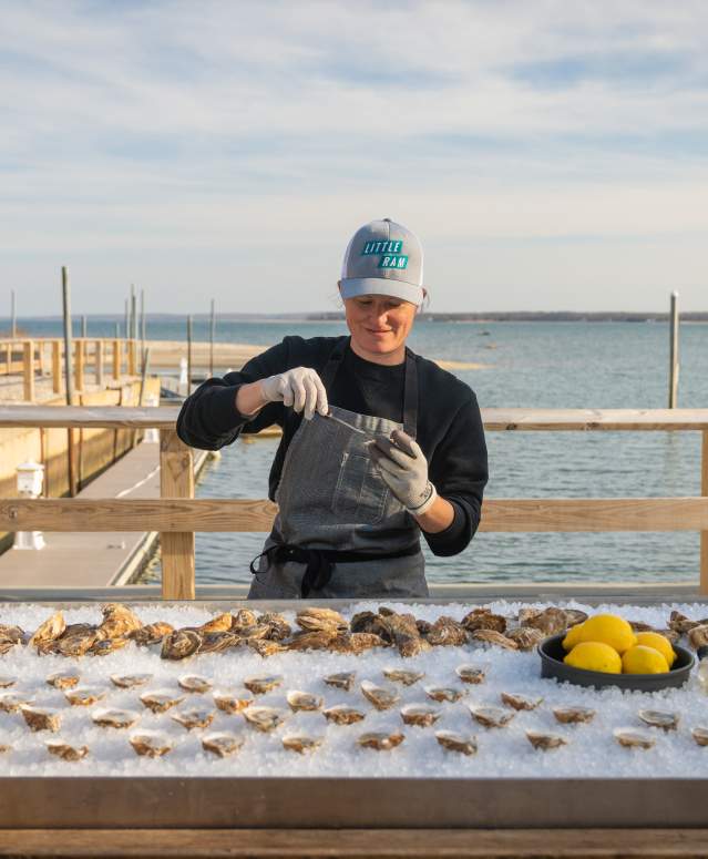 Little Ram Oysters