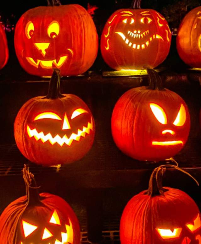 Halloween Jack O Lanterns
