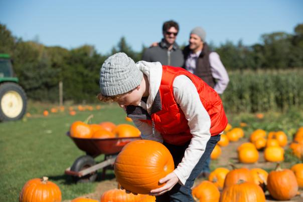 Parents looking lovingly at their child picking a pumpkin at a pumpkin patch on Long Island.