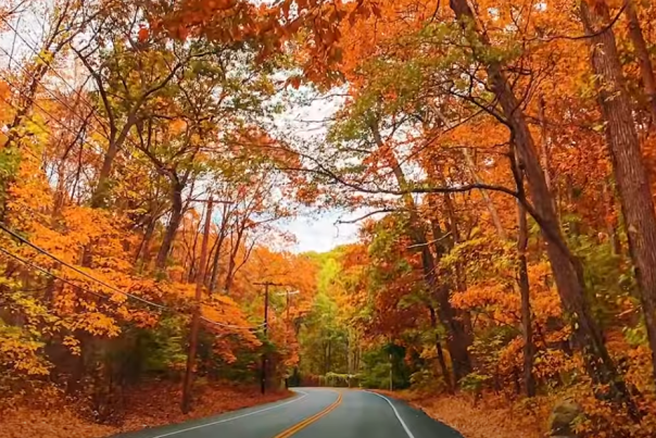 Fall Trip Planning Essentials