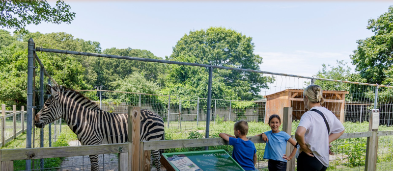 Long Island Game Farm