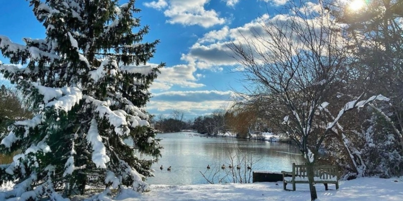Snowy Trail Hiking bench pond
