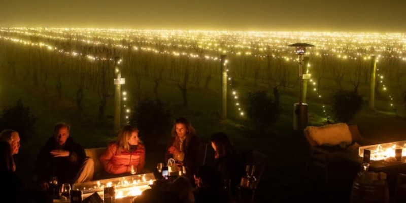 vineyard