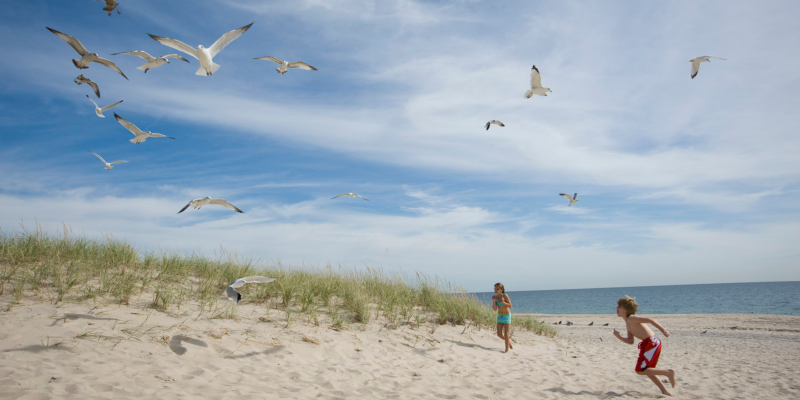 Cooper's Beach