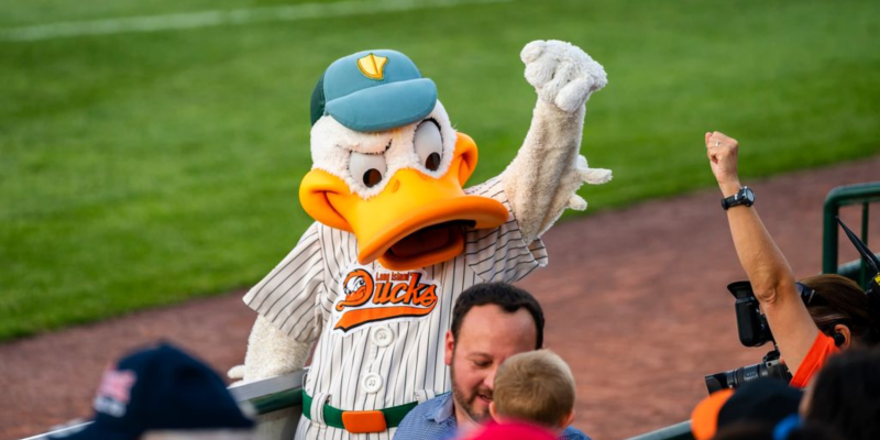 Ducks