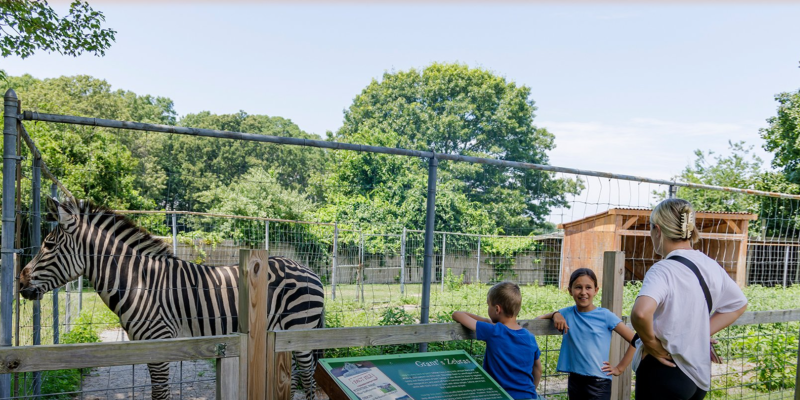 Long Island Game Farm
