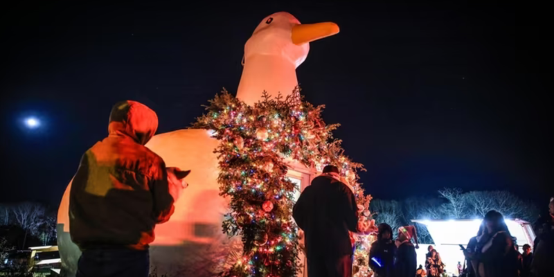 Big duck lighting
