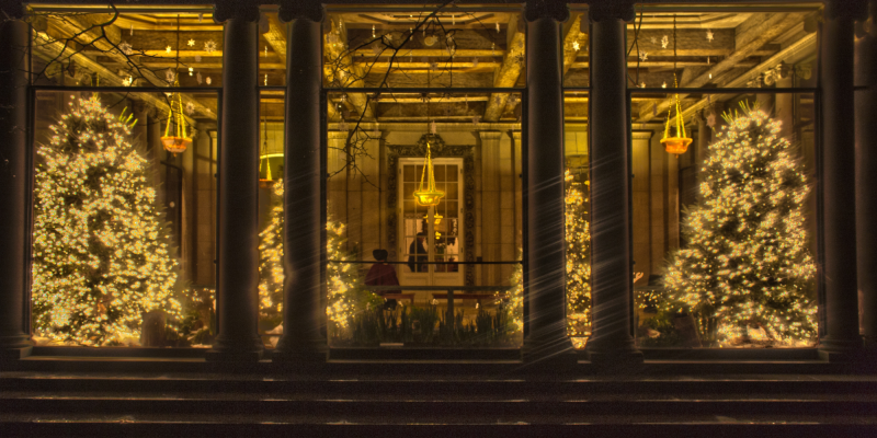 Christmas Trees at Westbury Gardens