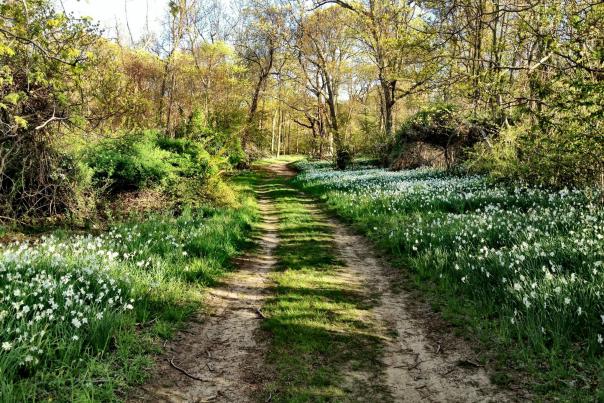 caumsett state park