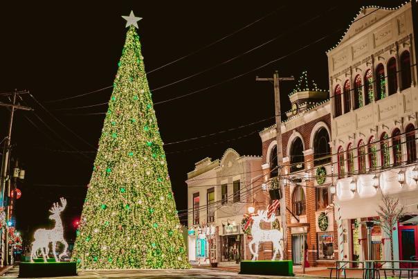 Huntington Village Christmas
