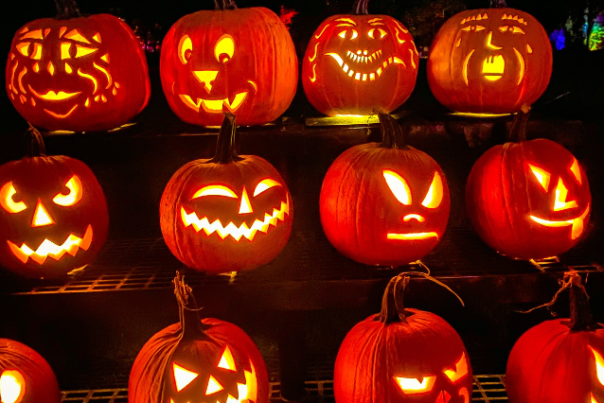 Halloween Jack O Lanterns
