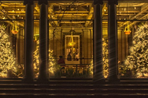 Christmas Trees at Westbury Gardens