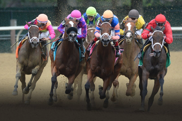 belmont stakes
