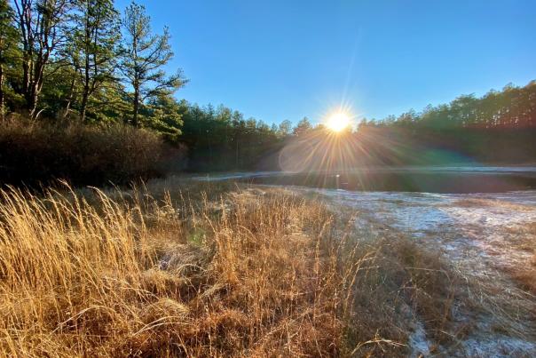 brookhaven state park