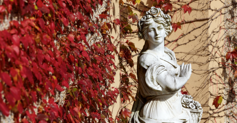 Oheka in fall