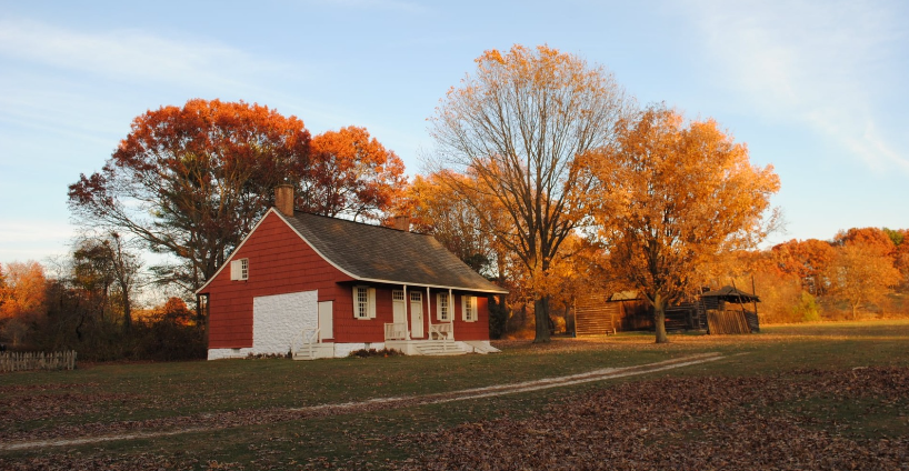 Fall Foliage Old Bethpage