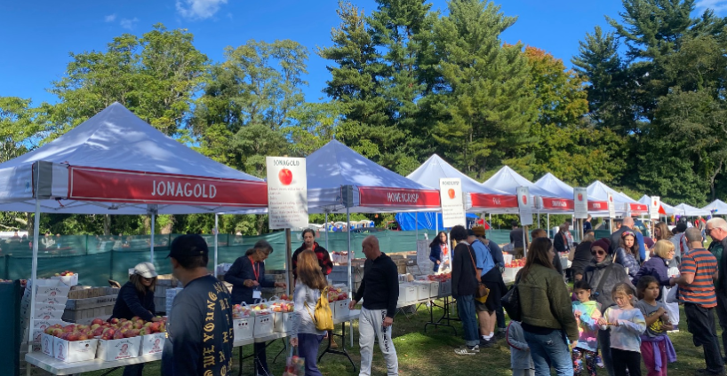 Apple festival