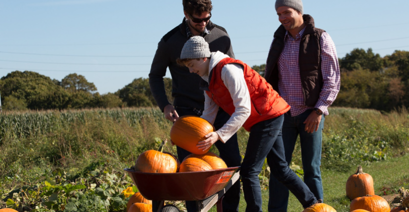 Pumpkin Picking