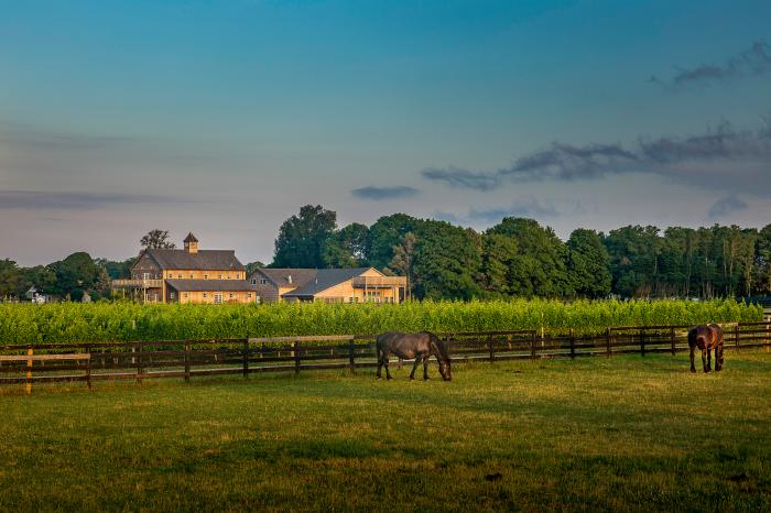 North Fork  Wine Country (3).jpg