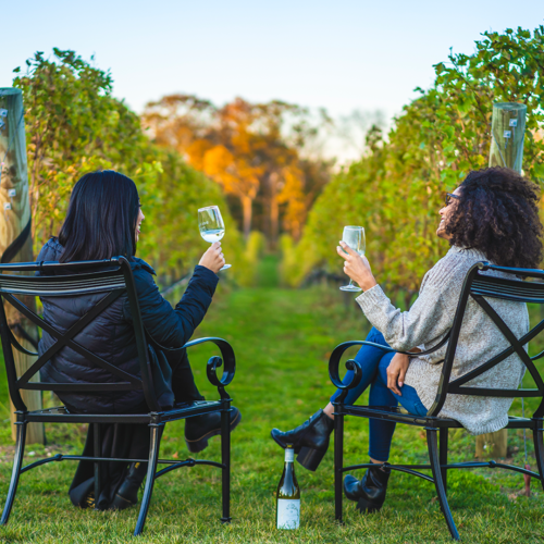 winter Wine Country