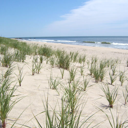 Dunes beach east end