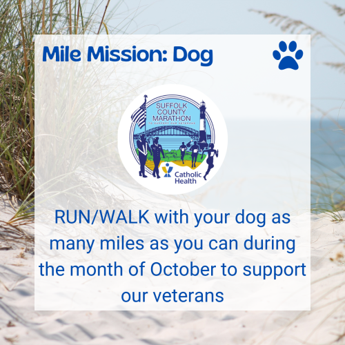 mile-mission-4