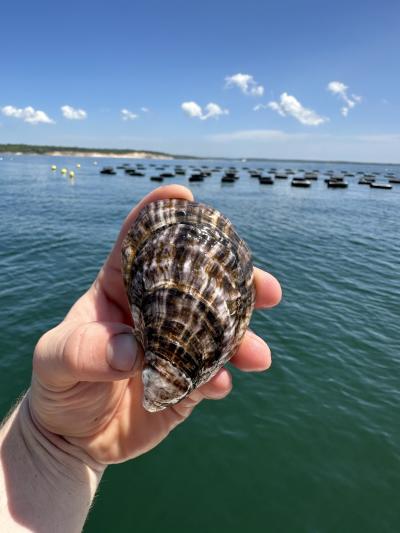 Davy Jones Oyster Company
