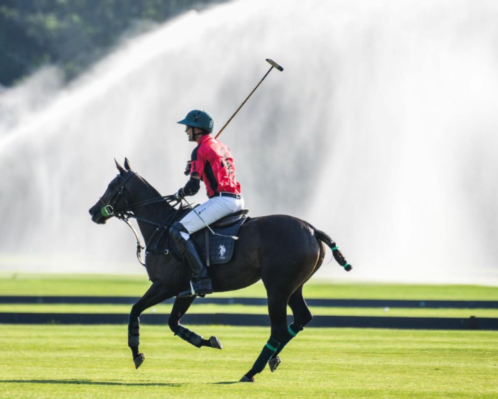 Polo at the park