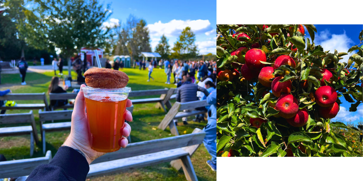 Harbes Orchard