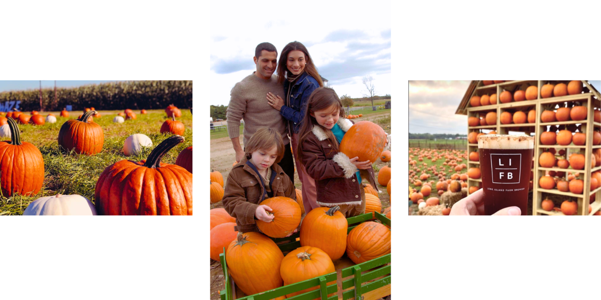 Waterdrinker Family Farm Manorville