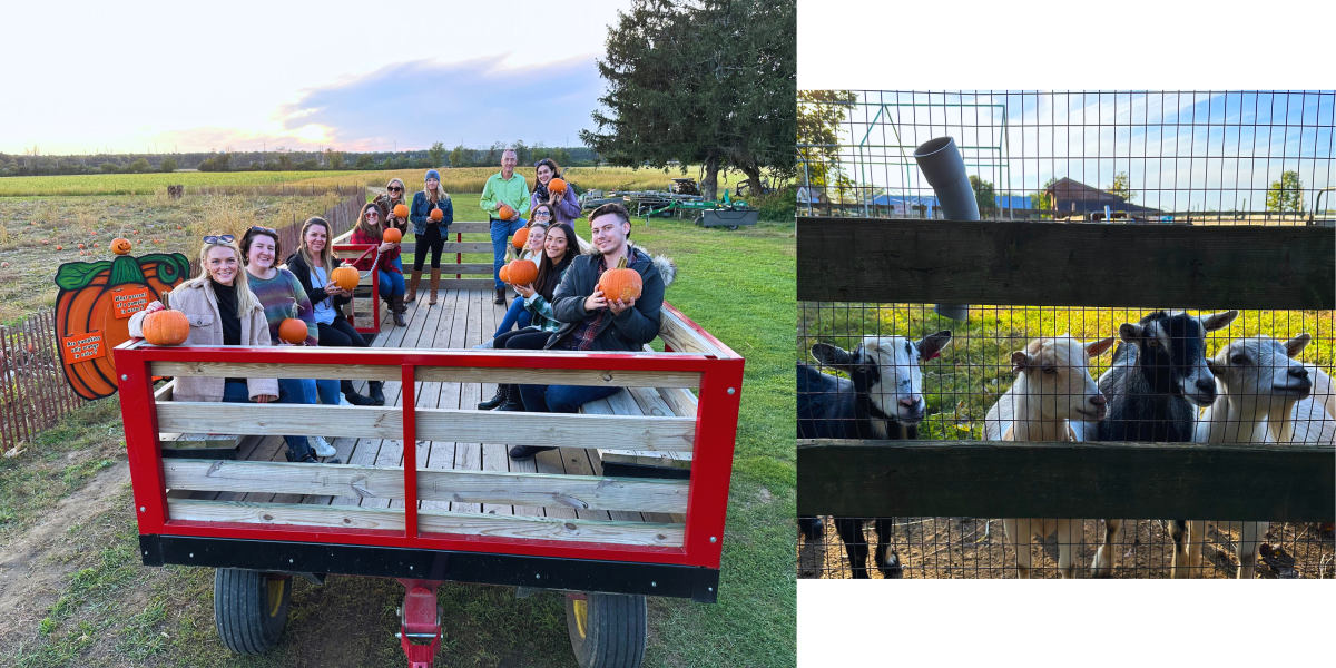 Suffolk County Farm Yaphank