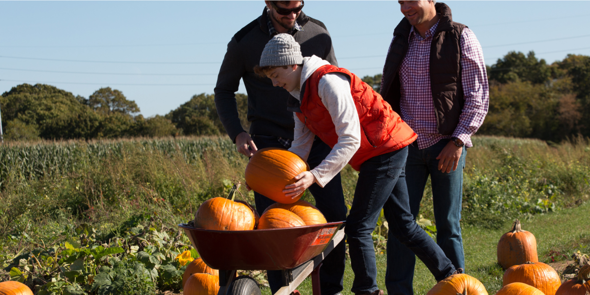 Pumpkin picking on the North Fork