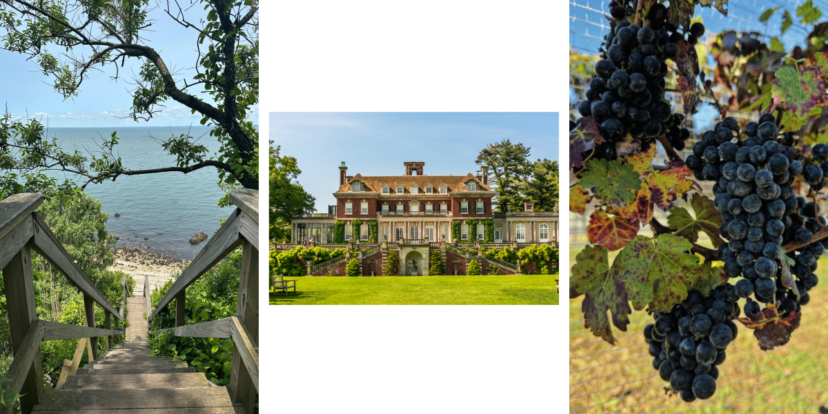 Beyond the Green images