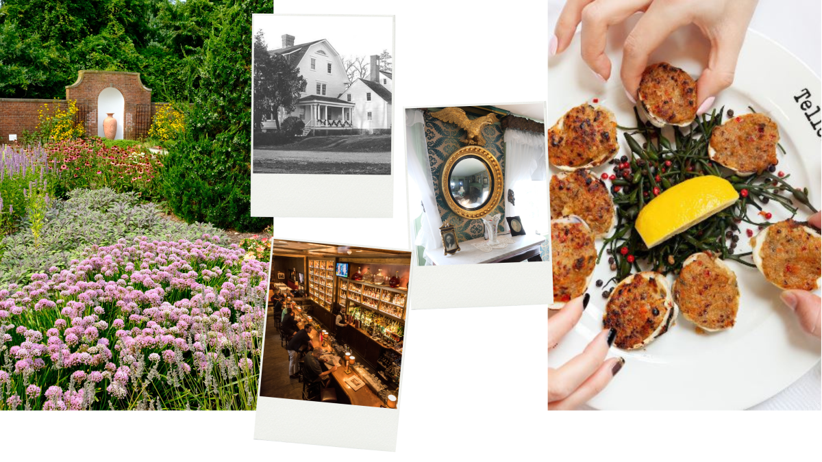 Bay Shore While In Town