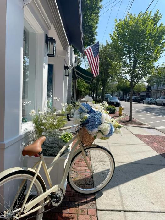 Hamptons bike