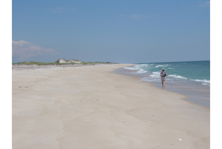 Coopers Beach - Hamptons.jpg