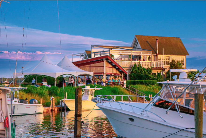 Cowfish Exterior Cowfish 10 with Tent.jpg