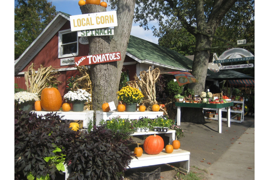 North Fork  Attractions  Farms and Farm Stands  2015older 1.jpg