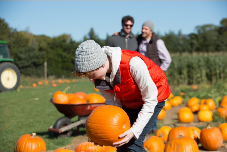 North Fork  Attractions  Stakeys Pumpkin FarmDLI 2017 Photoshoot LNC Productions  _D9A0762.jpg