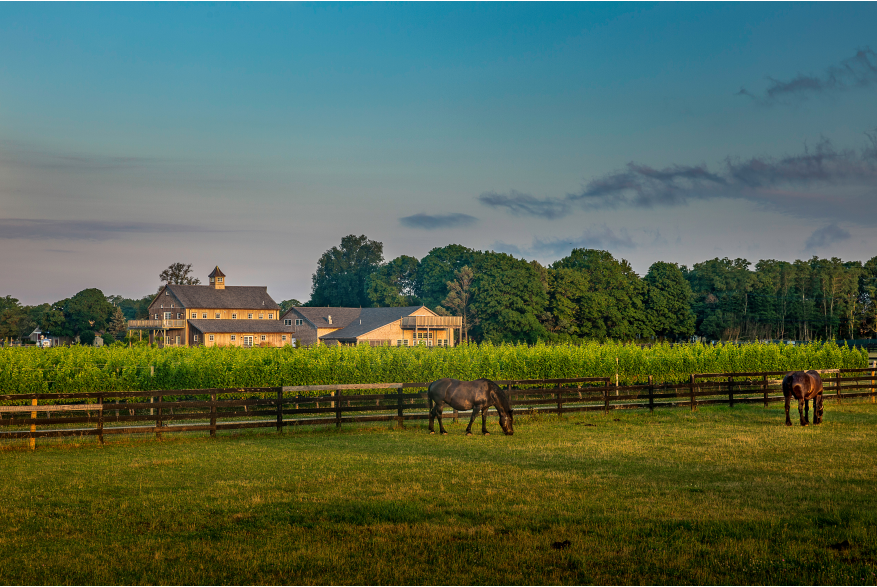 North Fork  Wine Country (3).jpg