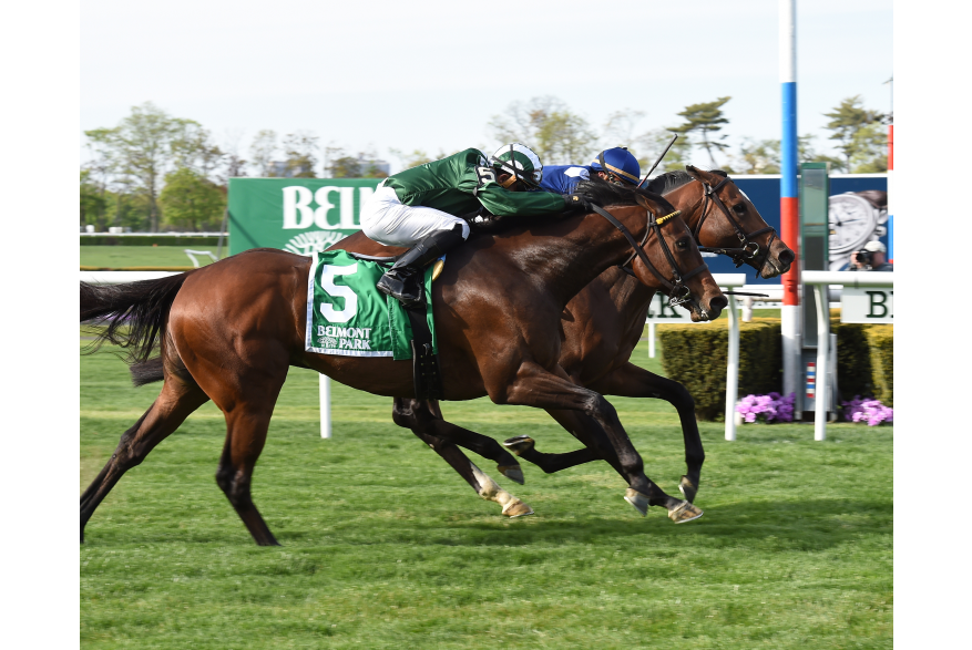 South Shore  Attractions  Belmont Stakes  A Lot.jpg