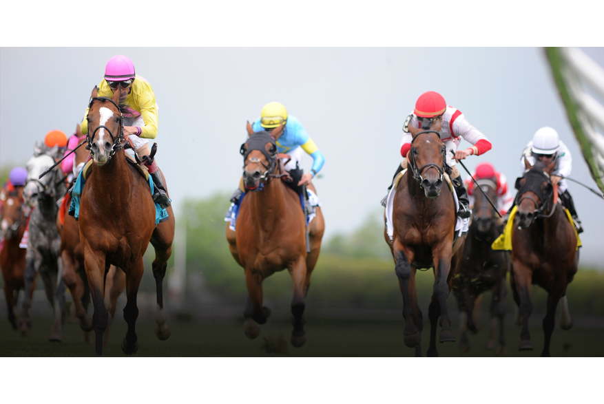 South Shore  Attractions  Belmont Stakes  Bel16_Hero1_1556x800_1.jpg