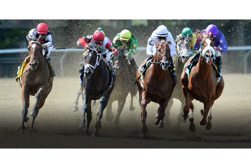 South Shore  Attractions  Belmont Stakes  Bel16_Hero1_1556x800_2.jpg