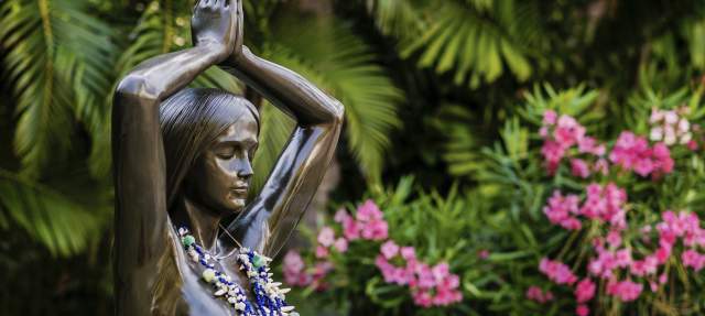 ANAJICONDI - Mindful Dining Meets Jungle Retreat