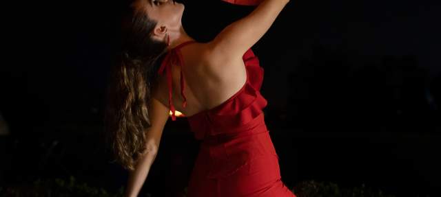 Gipsy Nights w/ Alebrije Flamenco