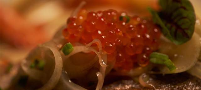 CELEBRATE THANKSGIVING AT PALMILLA SOCIAL CLUB
