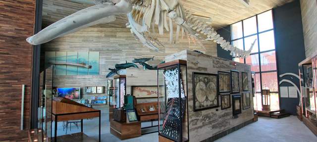 TOUR GUIADO POR EL MUSEO
