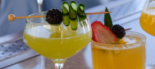 PREPARA TU PROPIO COCTEL