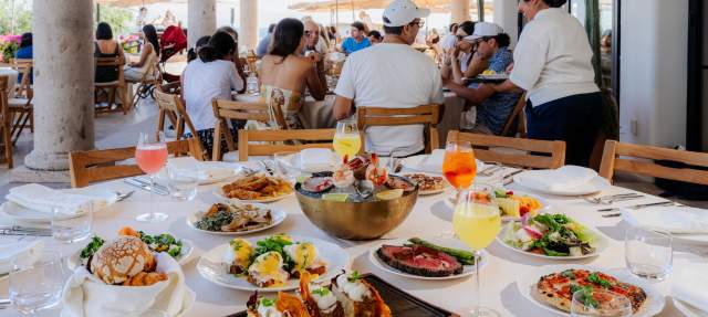 Sunday Bloom Brunch: A Flower Harvest Celebration with Rosé